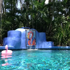 Pink Flamingo Port Douglas